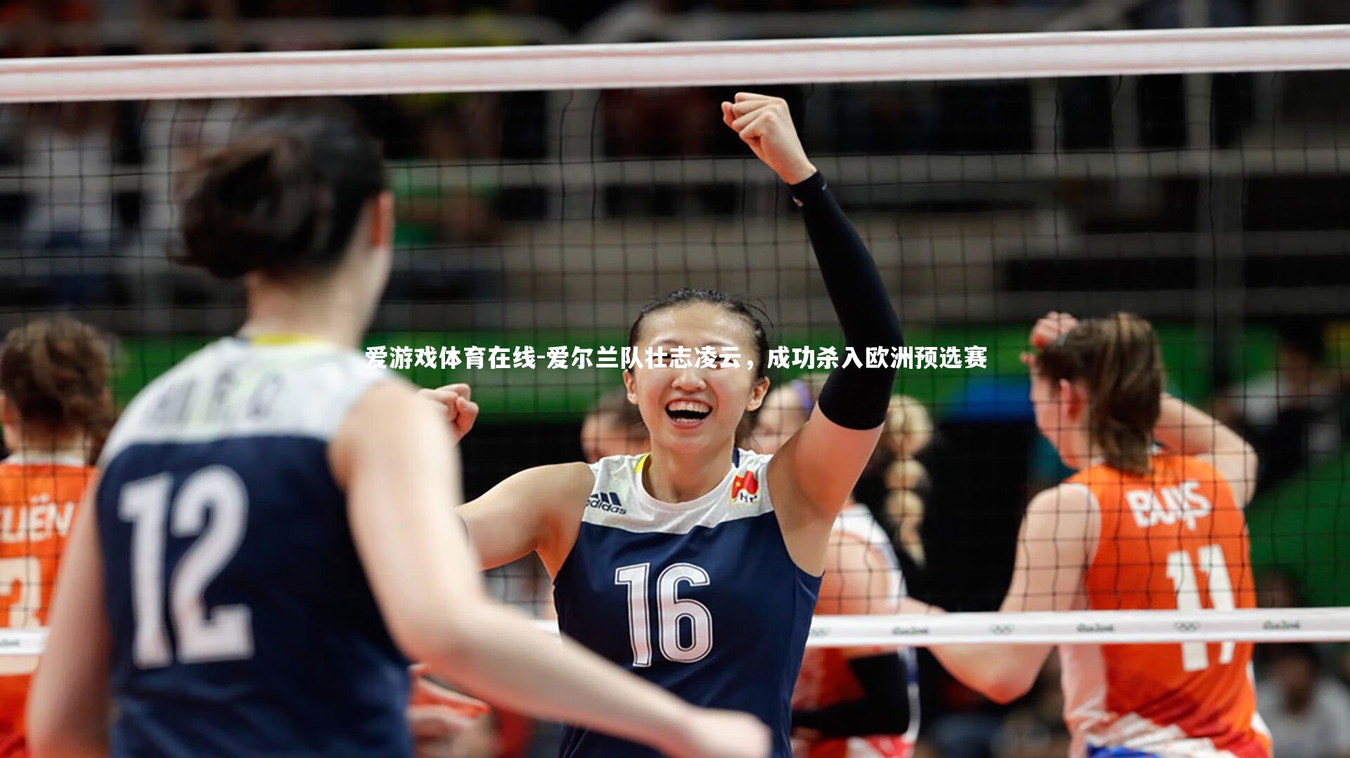 爱游戏体育在线-爱尔兰队壮志凌云，成功杀入欧洲预选赛