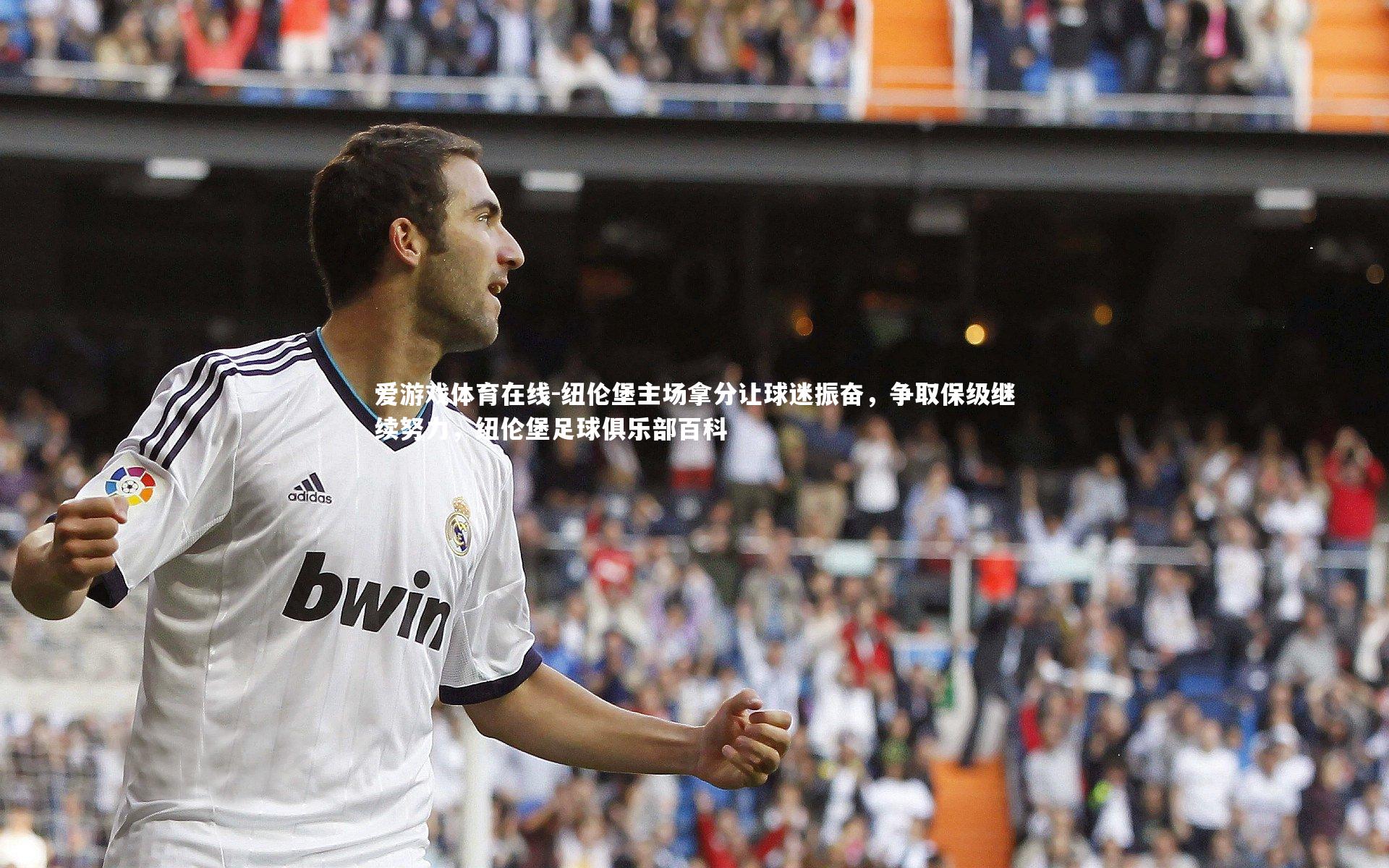 纽伦堡主场拿分让球迷振奋,争取保级继续努力,纽伦堡足球俱乐部百科