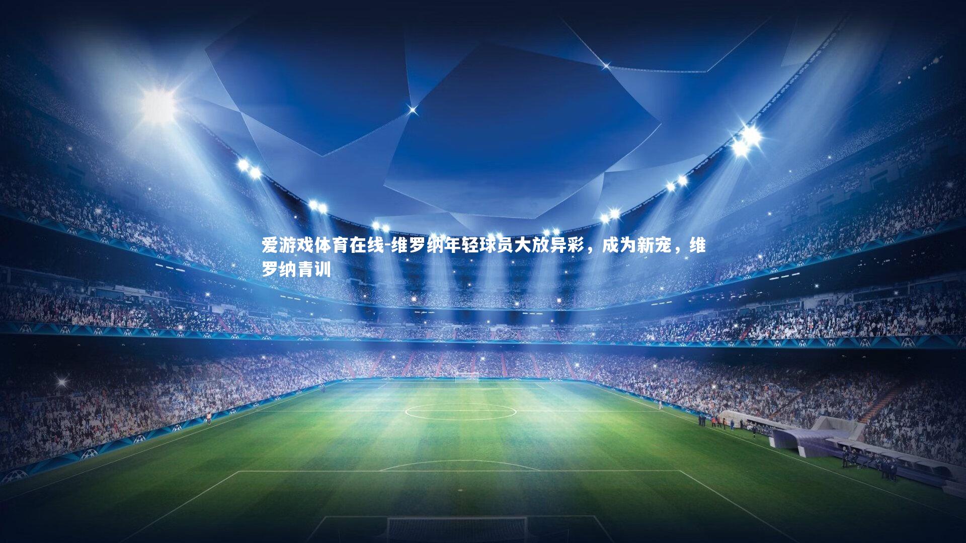 维罗纳年轻球员大放异彩,成为新宠,维罗纳青训